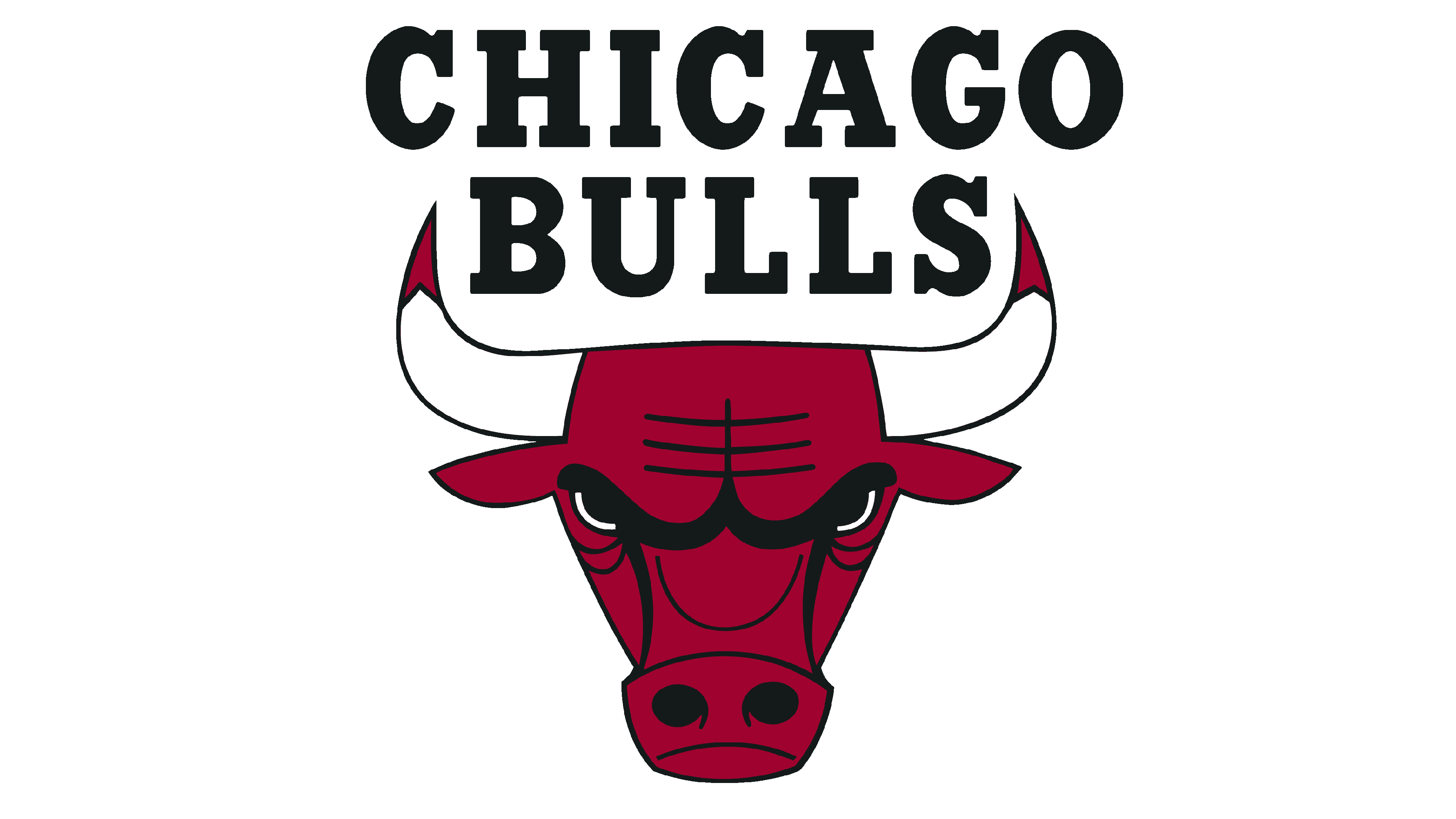 Chicago Bulls Logo Logo