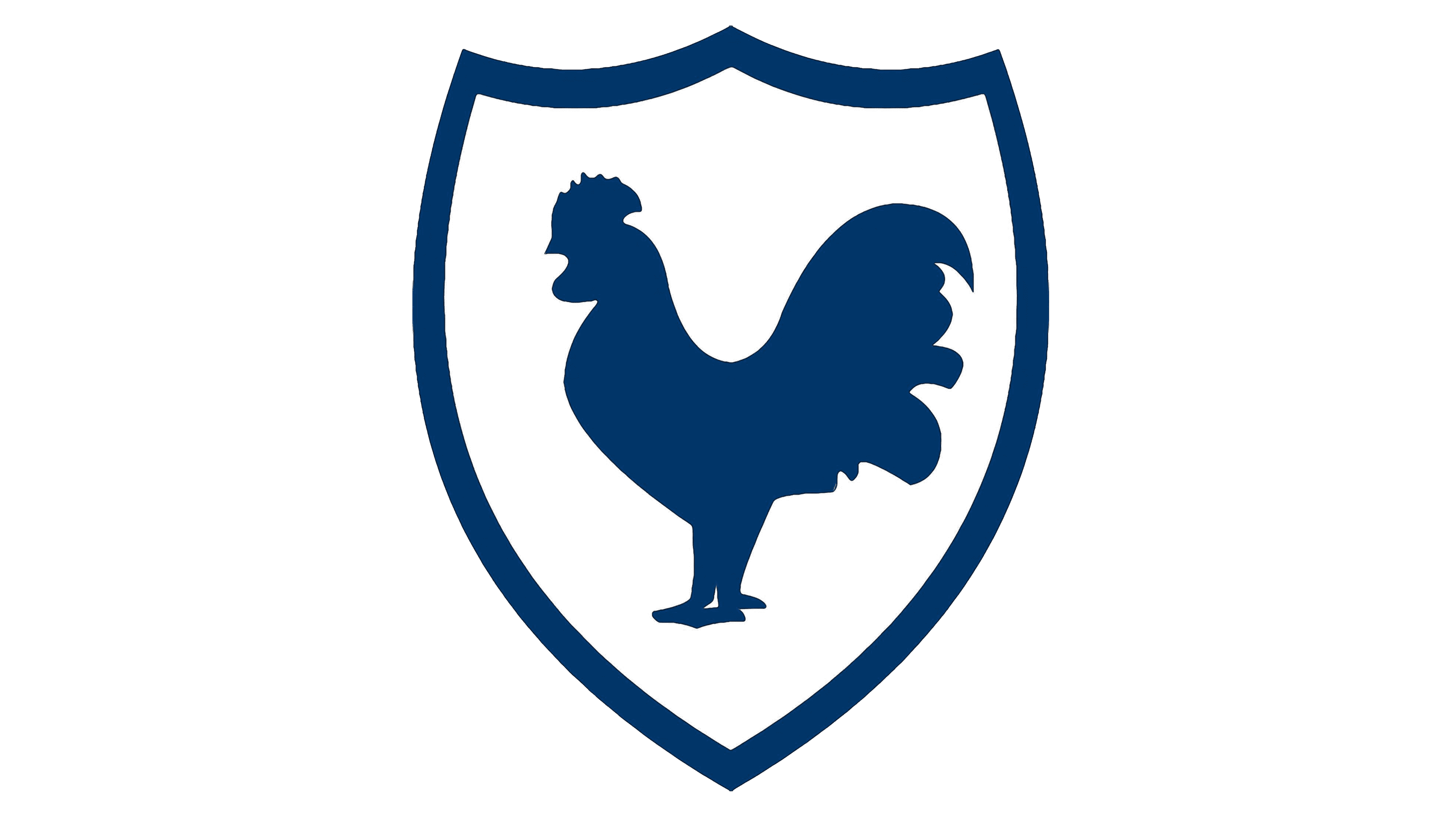 Tottenham Hotspur FC Official Crest Design Swerve Wallet 