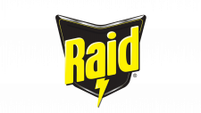 Raid Logo Logo