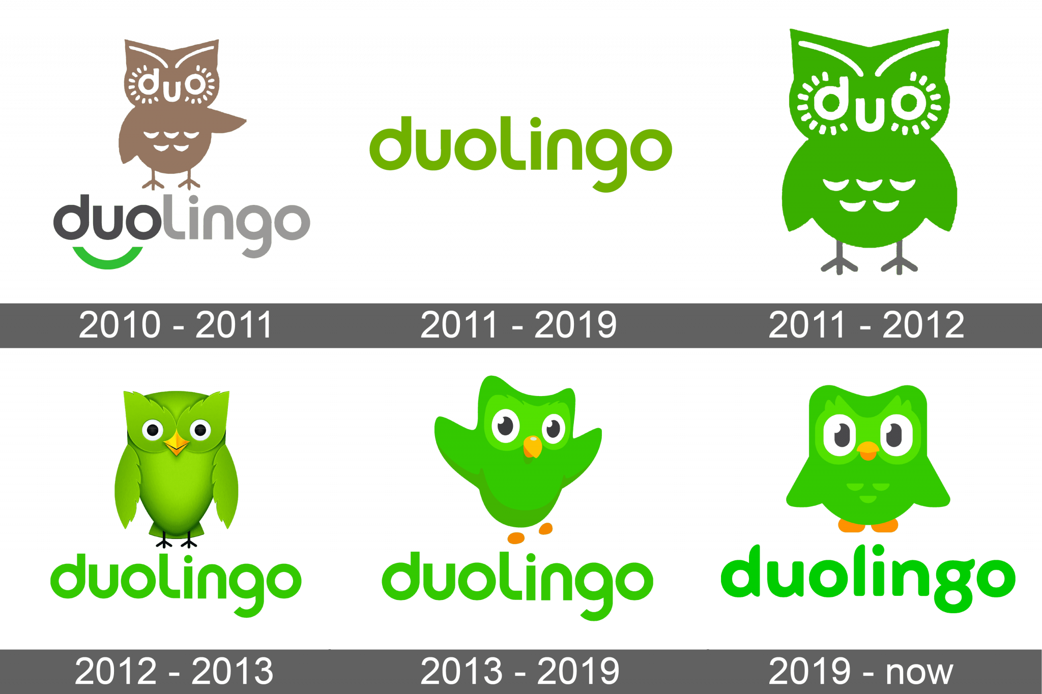 Duolingo Logo and symbol, meaning, history, sign.