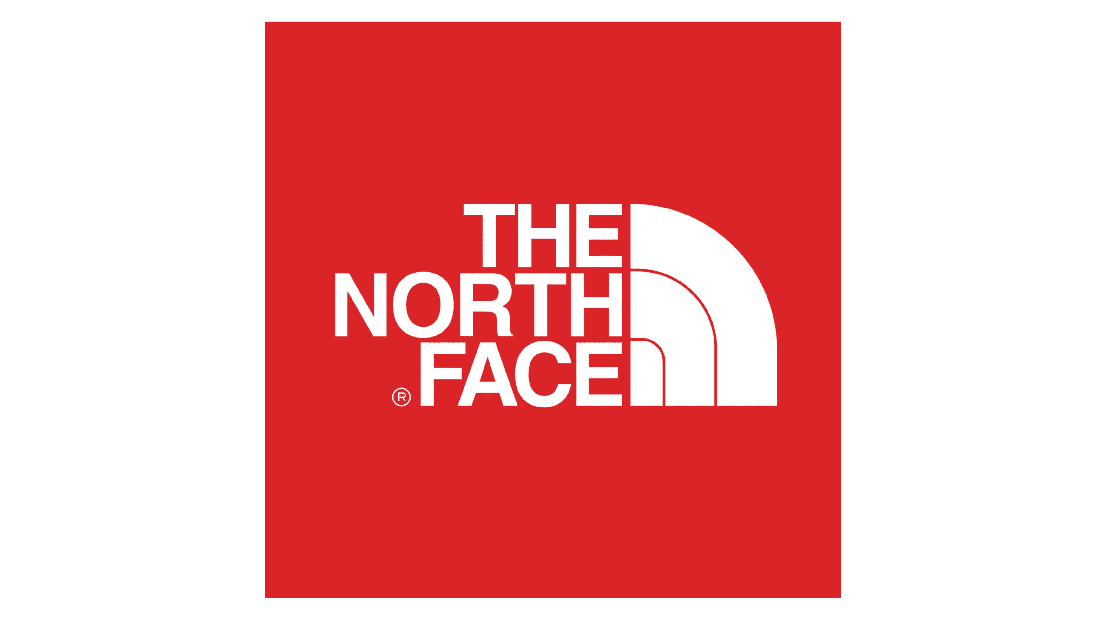The North Face Logo Logo