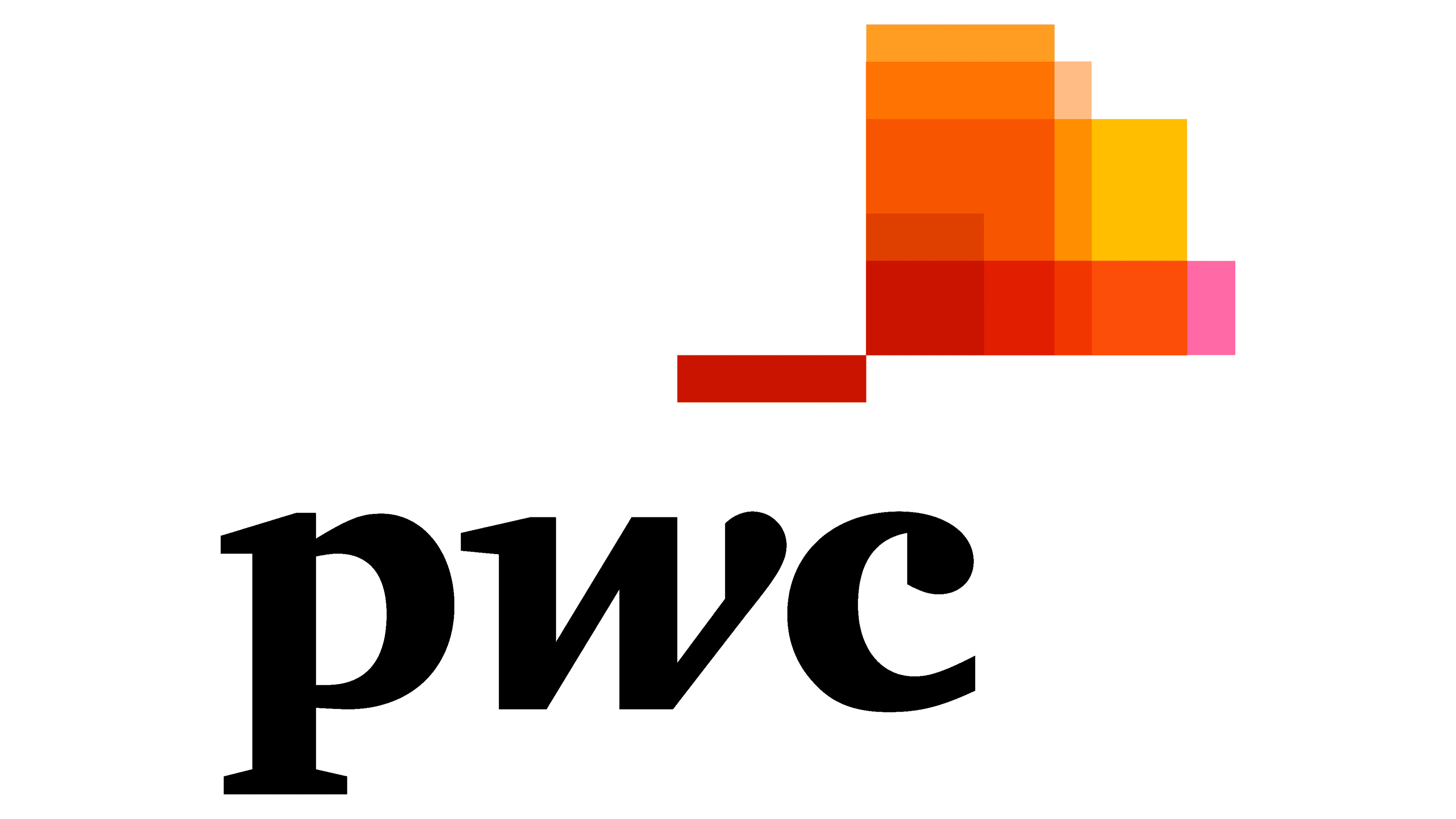 PwC Logo Logo