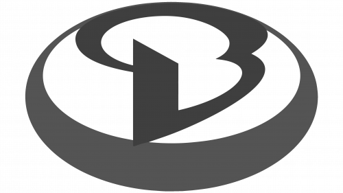 Logo Baolong
